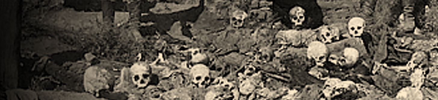 Skeletons litter the ground at the scene of Armenian Genocide